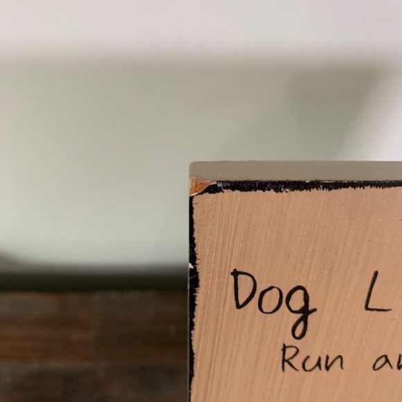 Dog Lessons Photo Frame - Picture 6 of 6